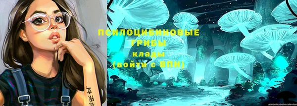 винт Кодинск