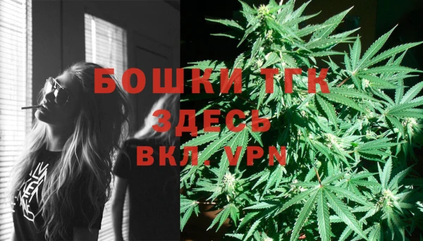 МДПВ Козельск