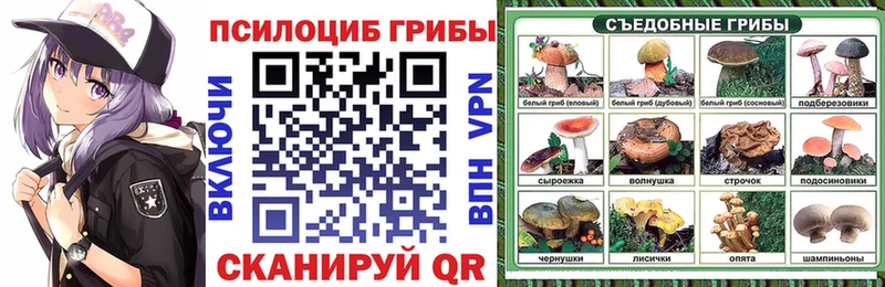 Галлюциногенные грибы MAGIC MUSHROOMS  Купить  Кимовск 