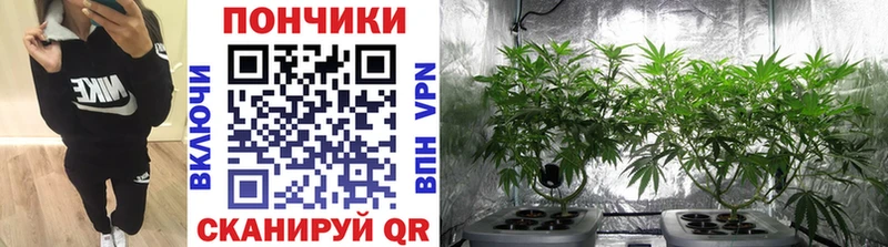 МАРИХУАНА Amnesia  Купить  Кимовск 